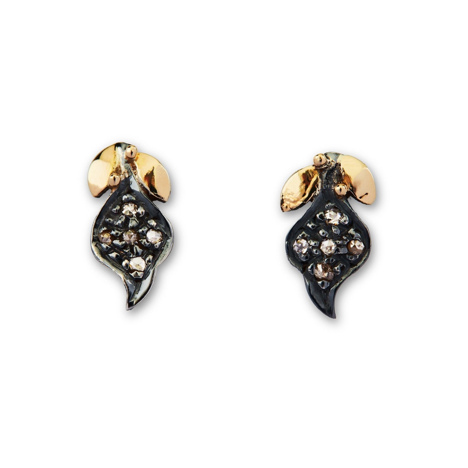 Sommerset Ørestikkere, fra ByBirdie